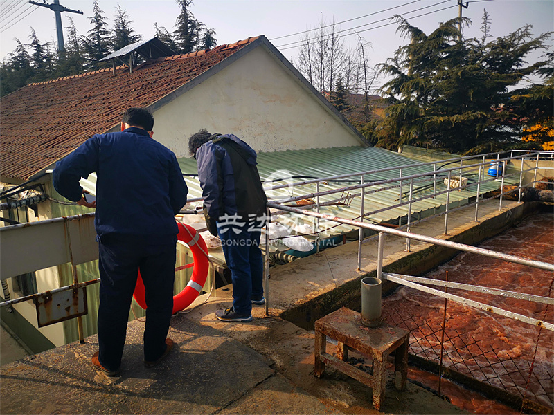 6250f30b68153.jpg 2_IMG_20210201_104001.jpg